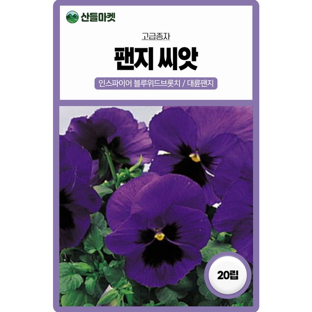주식회사 블루씨 이미지