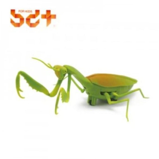 반디기타 이미지