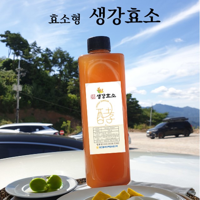 양효당 이미지