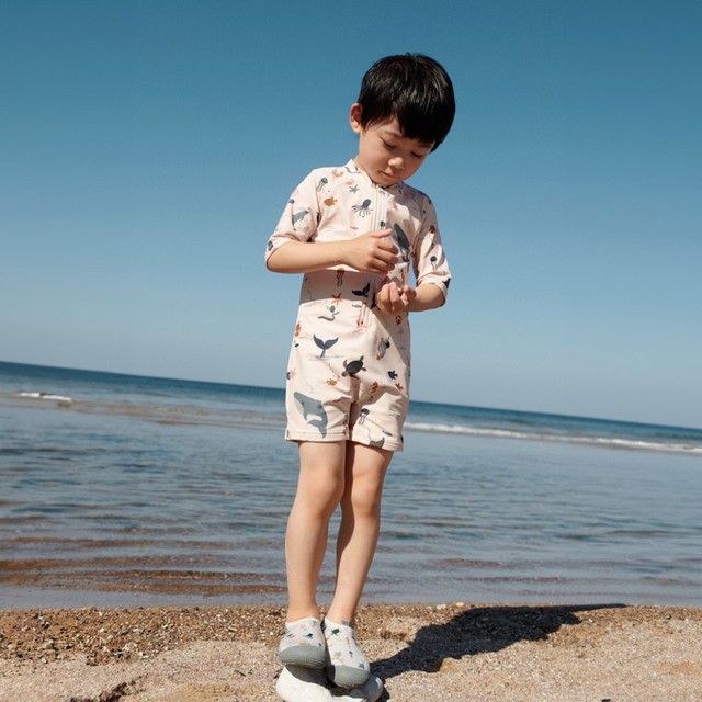 리우드 이미지