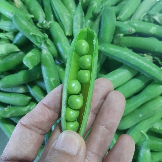 맛봄 이미지