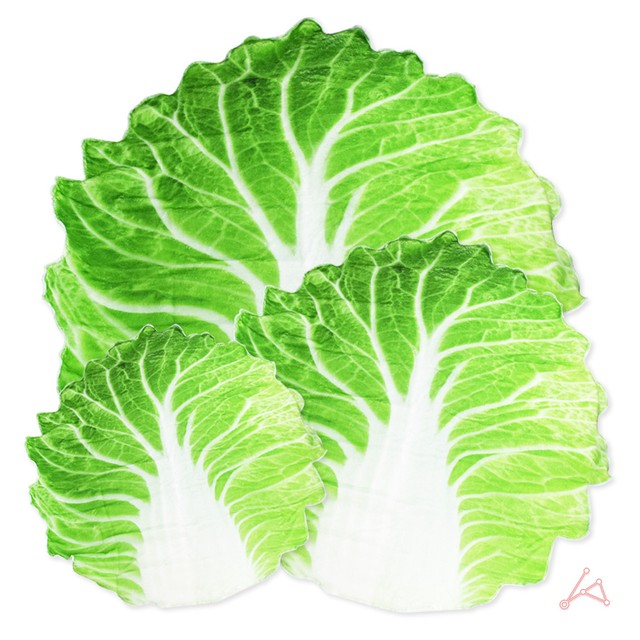 필 이미지