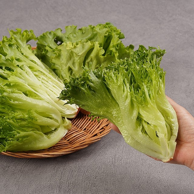 샐러드로 이미지