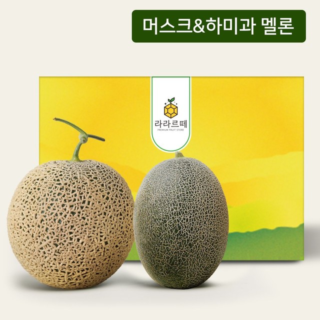 멜론 이미지