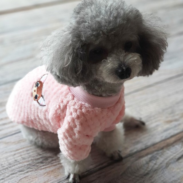 시우 이미지