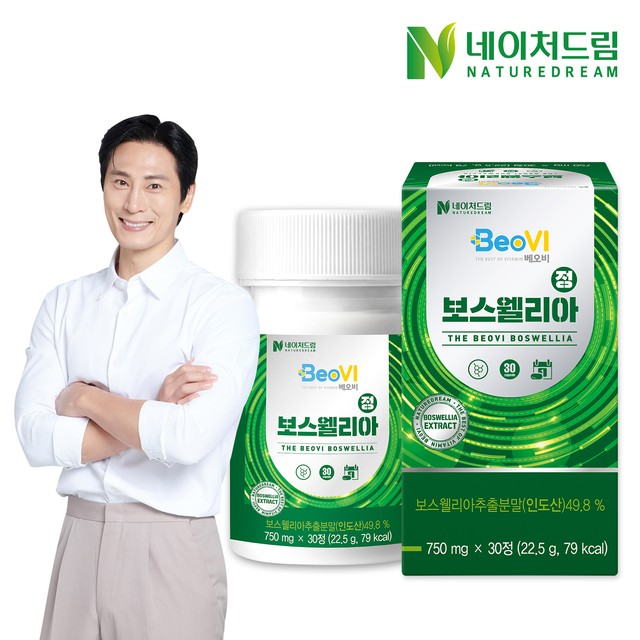 드림비 이미지