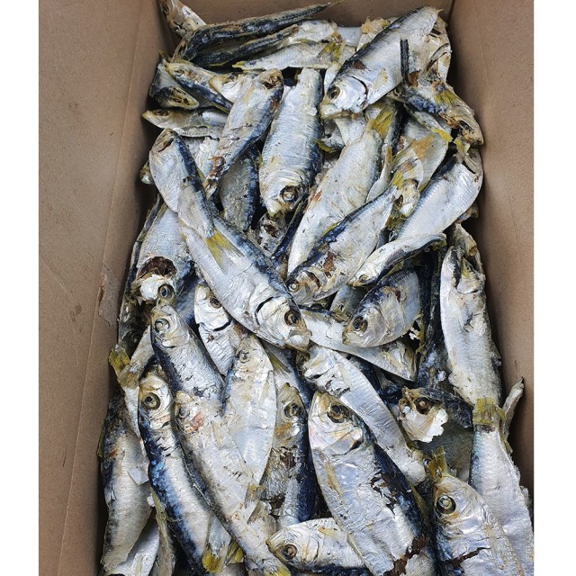 건통령 이미지