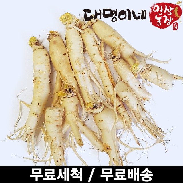 금산인삼영농조합 이미지