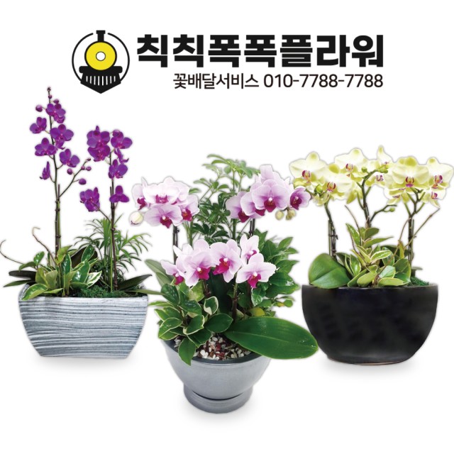 칙칙폭폭플라워 이미지