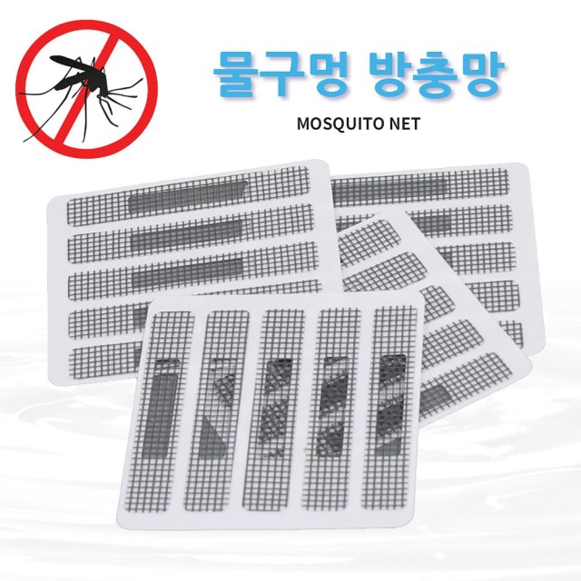 춈 이미지