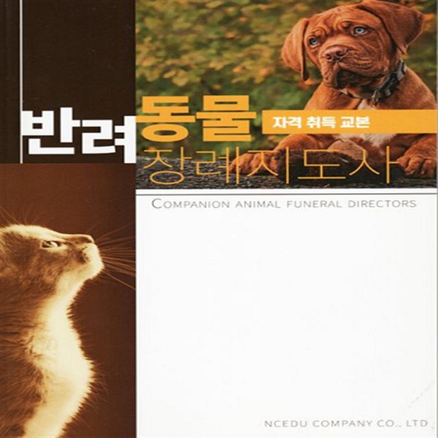 앤씨애듀 이미지