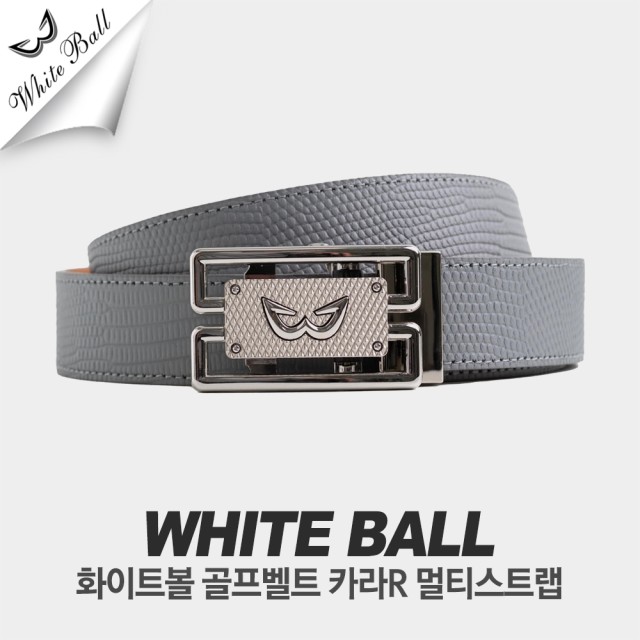 디지지에스 이미지