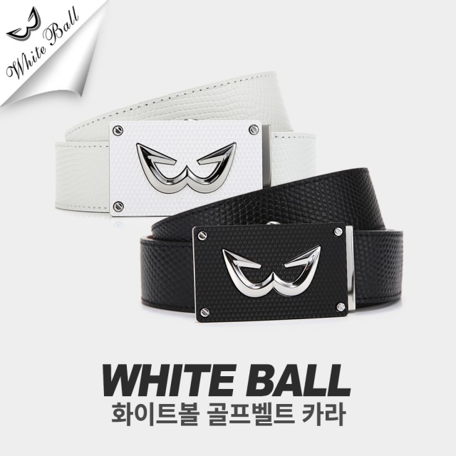 디지지에스 이미지