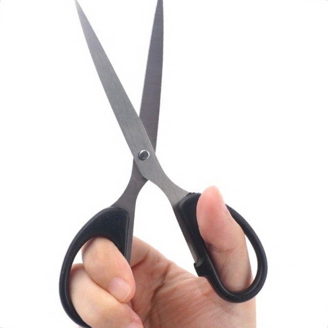 세일팬시 이미지