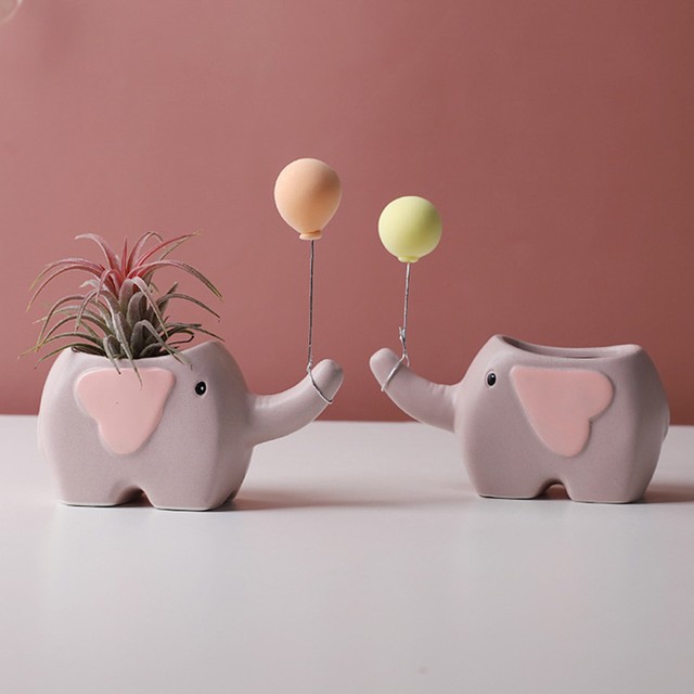코끼리다육 이미지