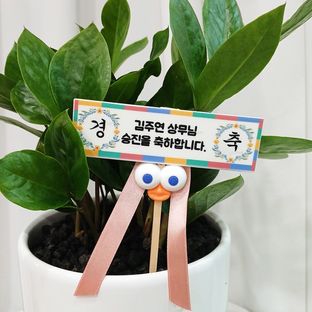 고미플라워 이미지
