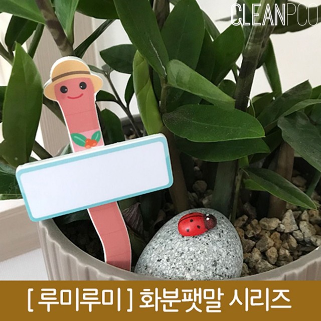 루미 이미지