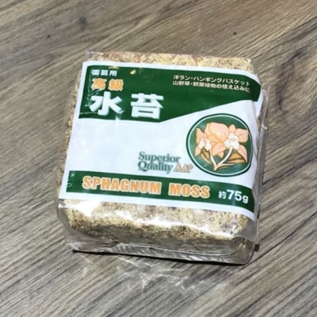 용건축 이미지