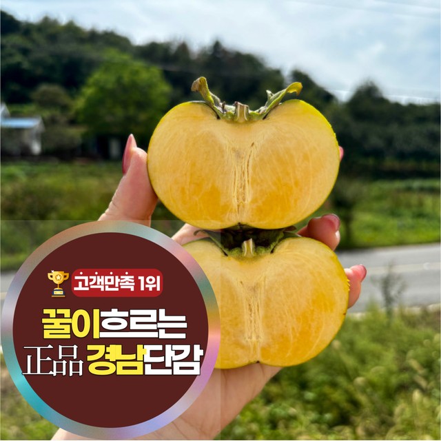 삼시세끼연구소 이미지