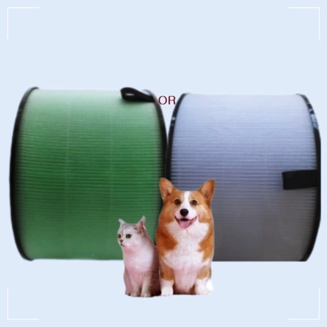필DNP 이미지