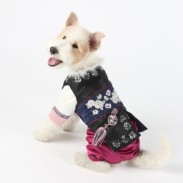 왕자한복 이미지