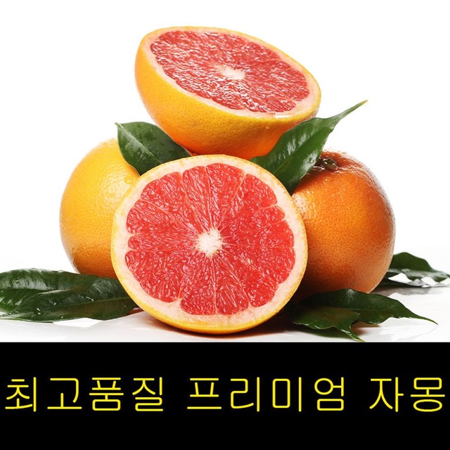 고씨네 이미지