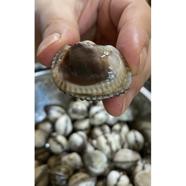 슬기수산 이미지