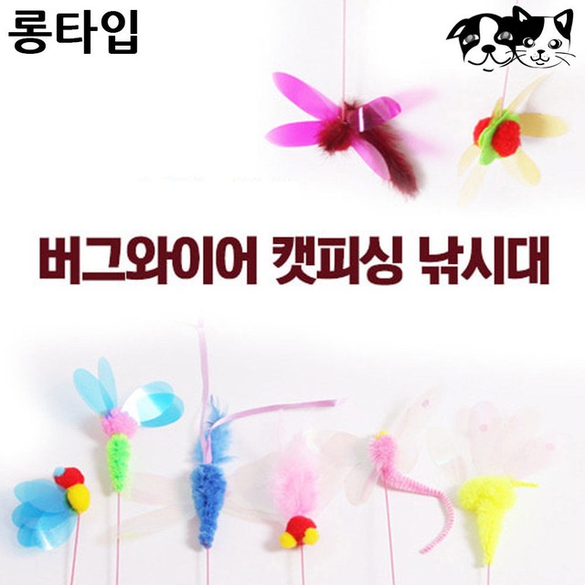 토리완구 이미지