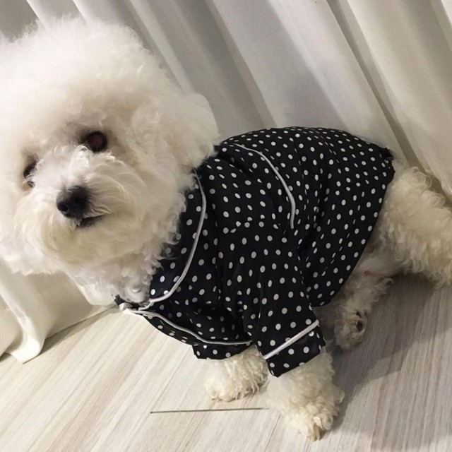 다올에이치 이미지