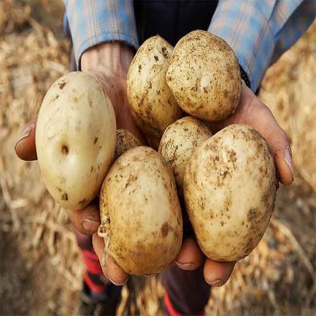 맛봄 이미지