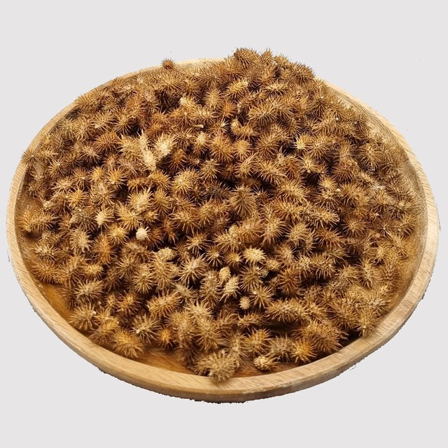 청명약초 이미지