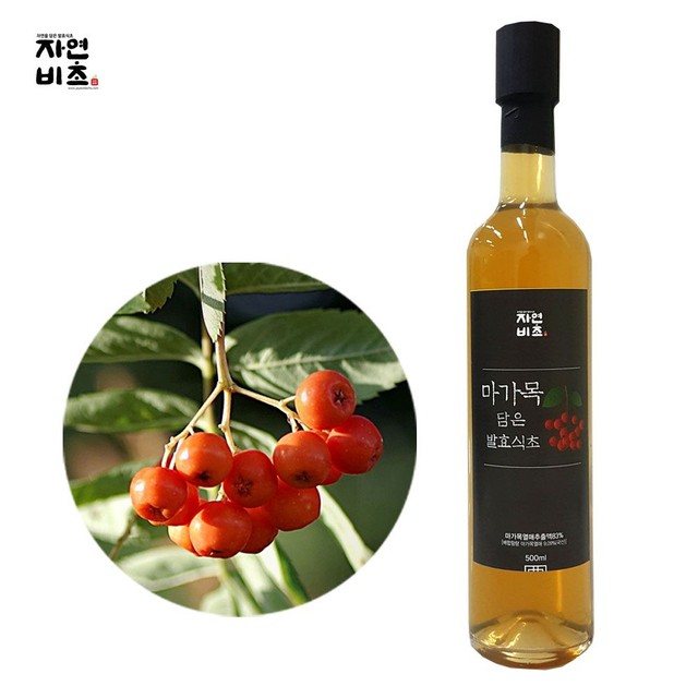 (주)들산초 이미지
