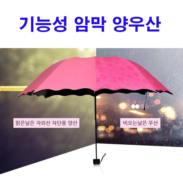 플라워누리 이미지
