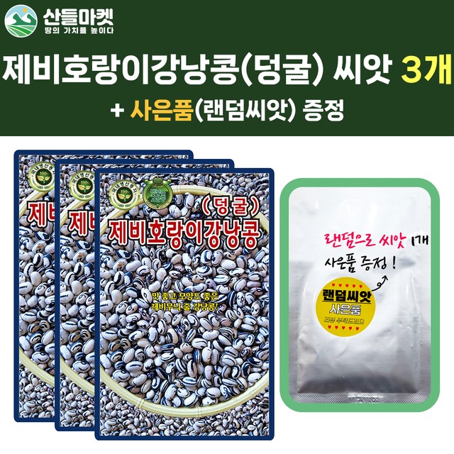 주식회사 호랑이 이미지