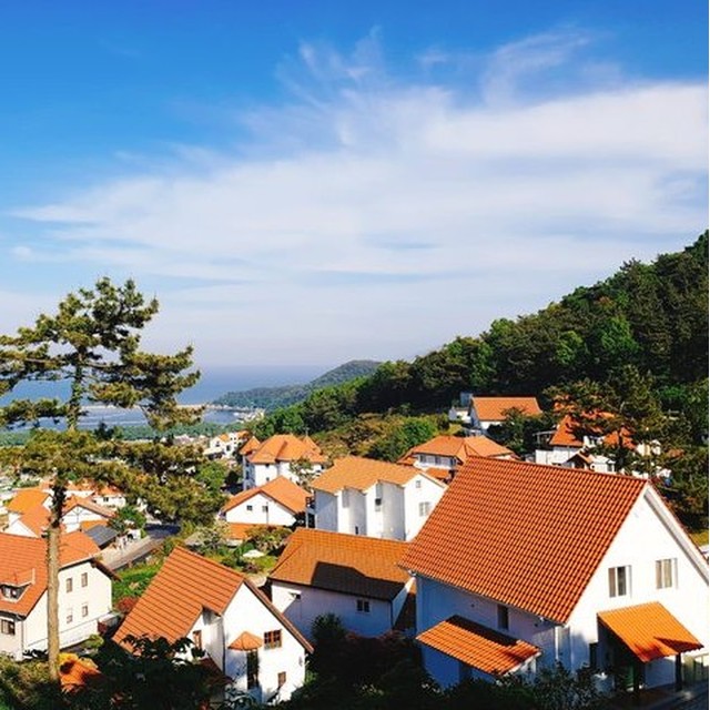 롯데관광주 이미지