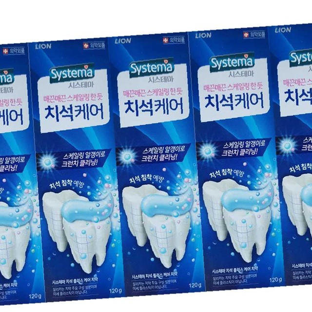 라이온코리아(주) 이미지
