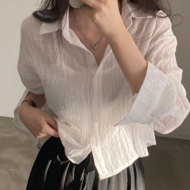 폴업 이미지