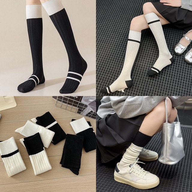 앤니 이미지