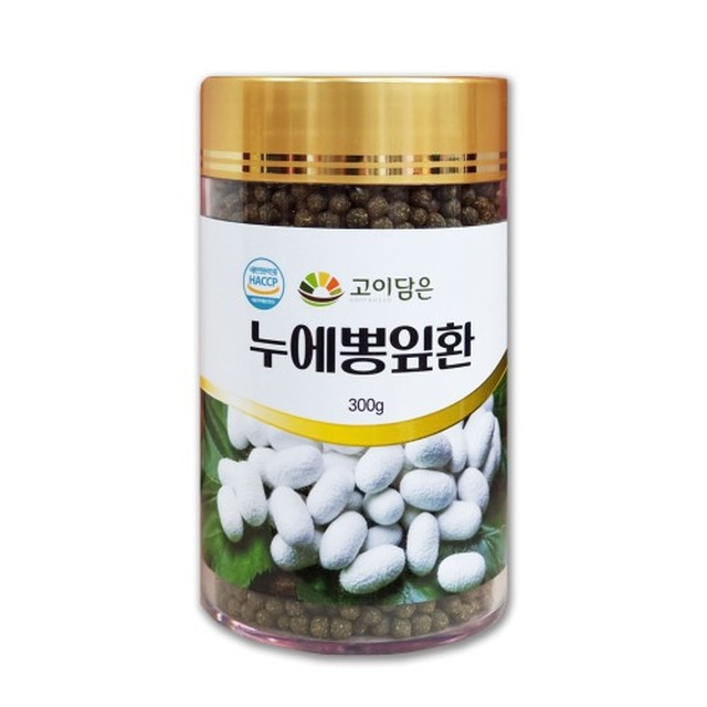고이 이미지