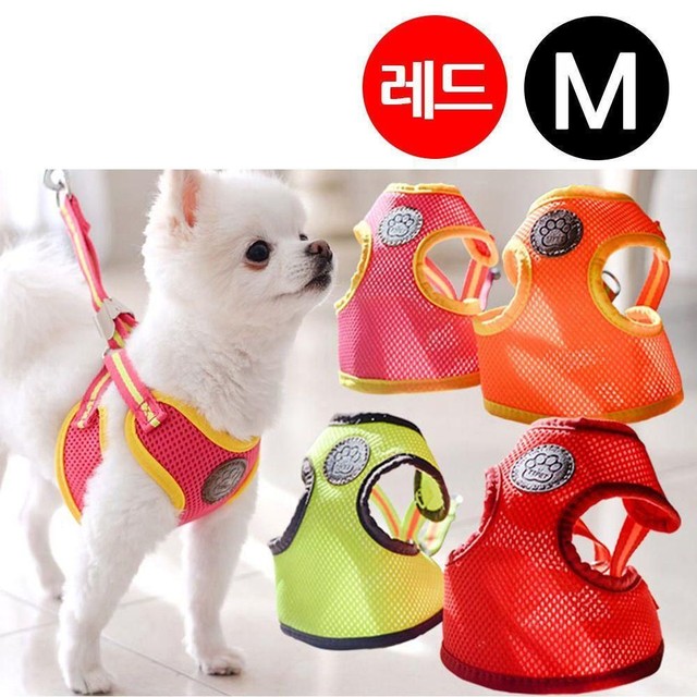 티티스마일 이미지