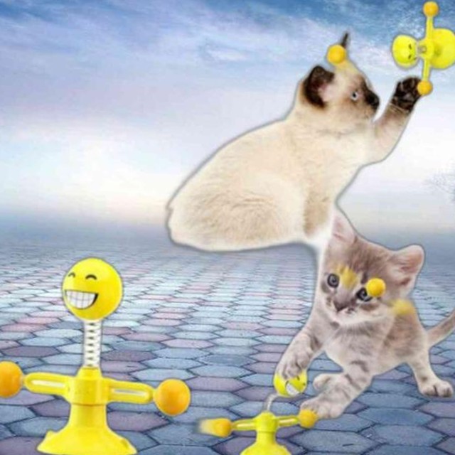 티티스마일 이미지