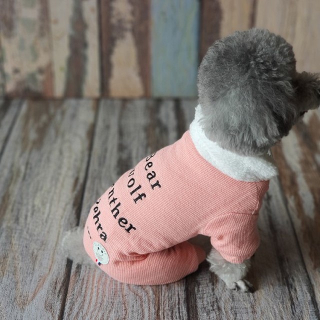 시우 이미지