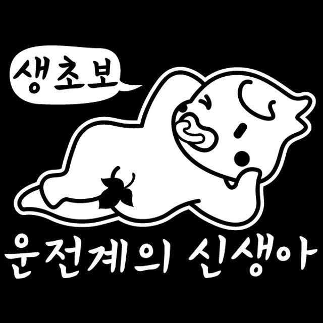 FI자동차 이미지