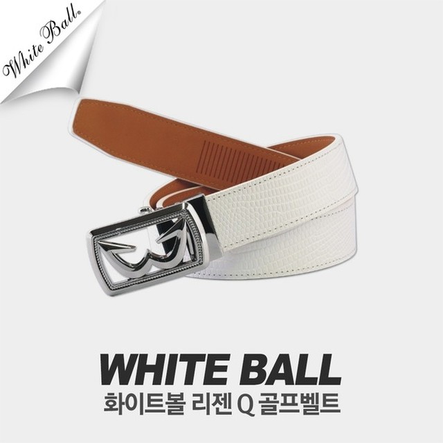 디지지에스 이미지