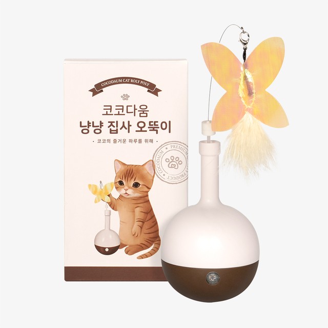 다움 이미지