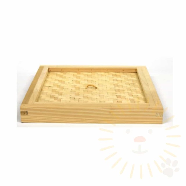 단디 이미지