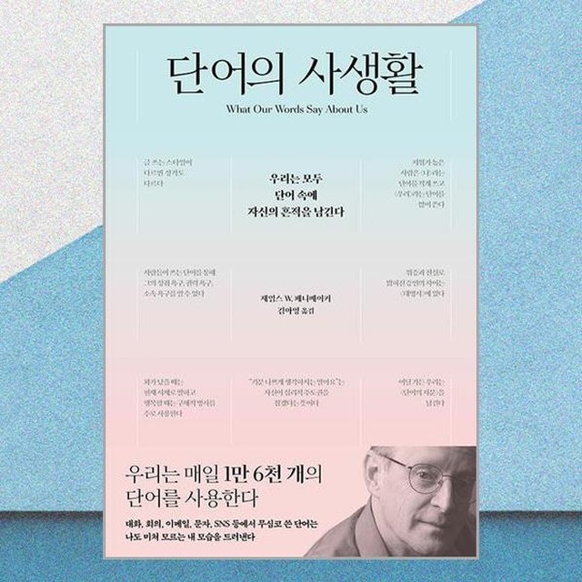 사이 이미지