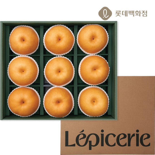 대향 이미지