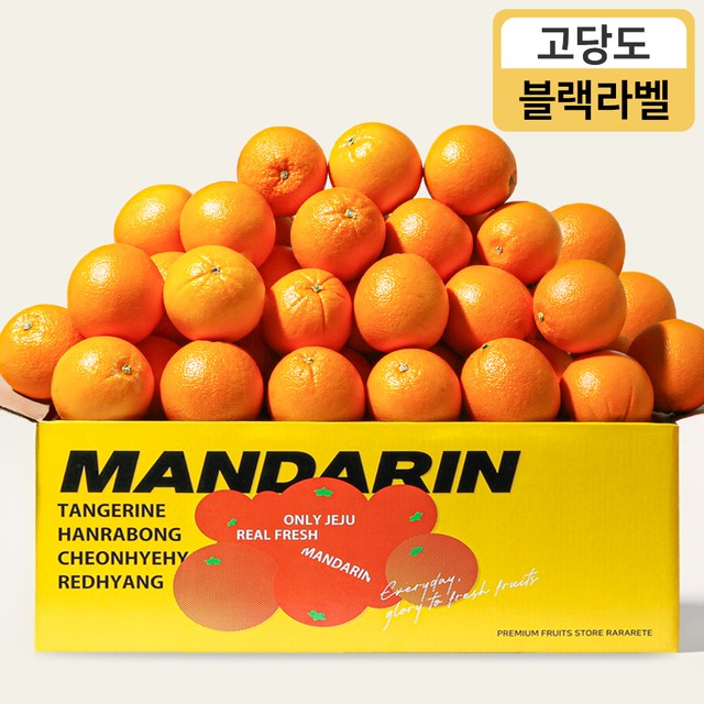 오렌지 이미지