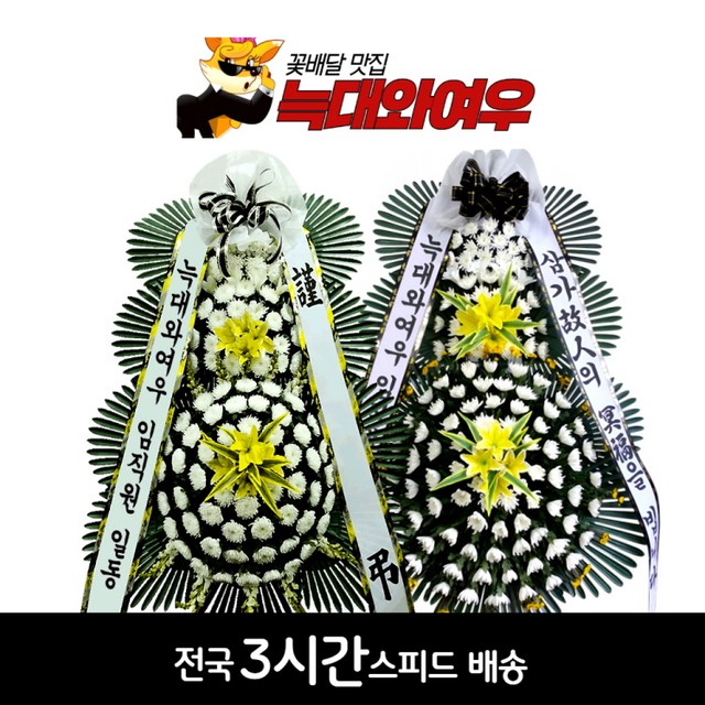 나주중앙병원 이미지